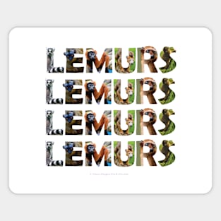 Lemurs Lemurs Lemurs Lemurs - wildlife oil painting word art Magnet